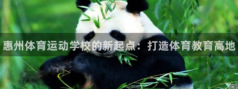 必发官方正版app集团logo