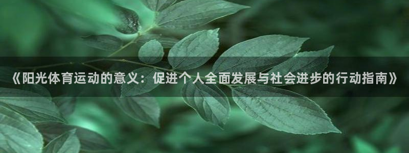 必发官方正版app官方：《阳光体育运动的意义：促进个人全面发