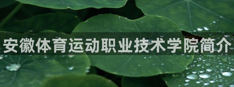 必发官网下载招商电话：安徽体育运动职业技术学院简介
