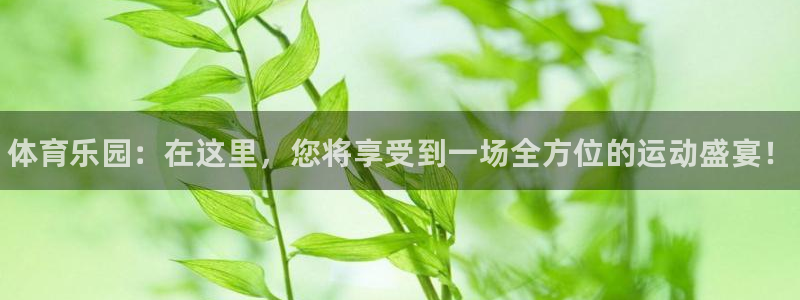 必发官方正版app娱乐代理怎么样：体育乐园：在这里，