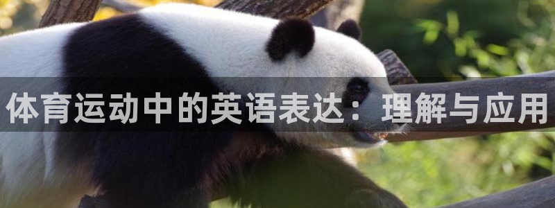 必发官方正版app集团官网首页网址：体育运动中的英语
