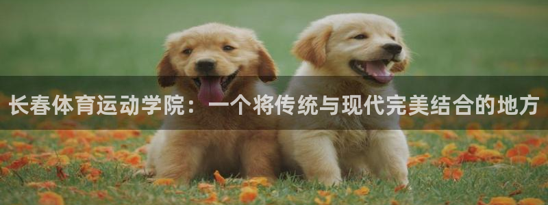 必发官方正版app代理：长春体育运动学院：一个将传统与现代完