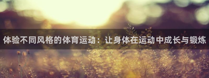 必发官网下载招商电话地址查询：体验不同风格的体育运动