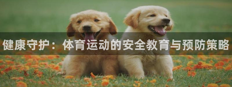 必发官方正版app集团官网首页网址：健康守护：体育运