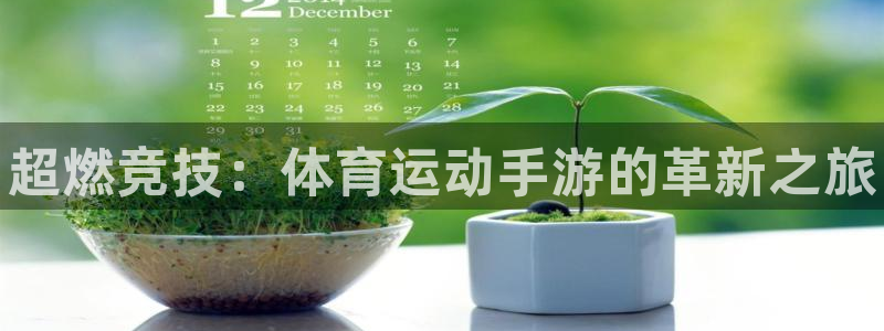 必发官方正版app娱乐平台：超燃竞技：体育运动手游的