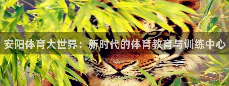 必发官网下载平台注册要钱吗是真的吗：安阳体育大世界：