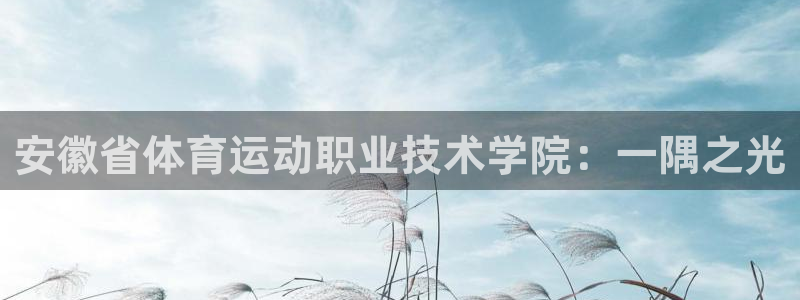 必发官网下载开户：安徽省体育运动职业技术学院：一隅之