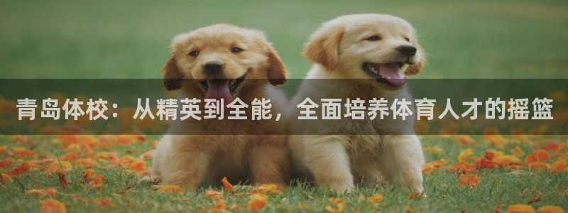 必发官网下载招商电话地址：青岛体校：从精英到全能，全