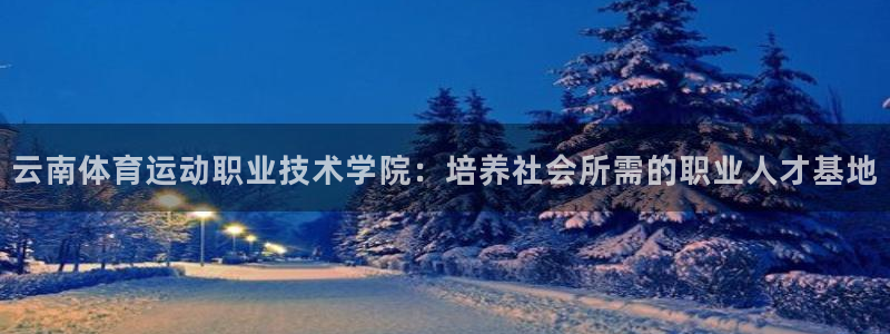 必发官方正版app娱乐网站：云南体育运动职业技术学院
