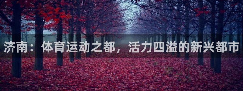 必发官网下载平台APP：济南：体育运动之都，活力四溢