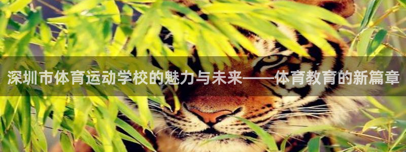 注册必发官方正版app：深圳市体育运动学校的魅力与未