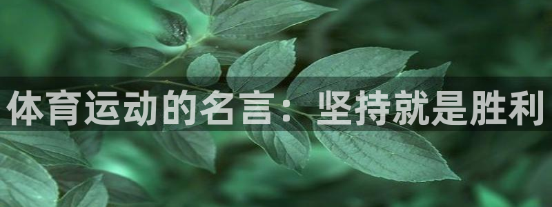 必发官网下载平台：体育运动的名言：坚持就是胜利