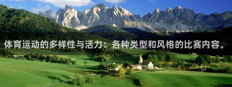 必发官网下载平台注册要钱吗：体育运动的多样性与活力：各种类型
