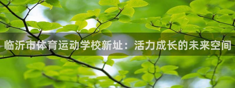 必发官网下载平台注册要钱吗安全吗：临沂市体育运动学校新址：活