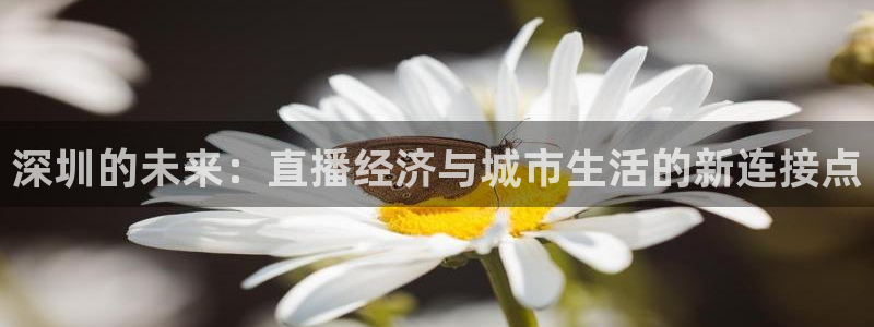 下载鲸鱼体育直播：深圳的未来：直播经济与城市生活的新连接点