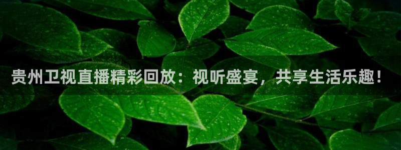 鲸鱼体育直播下载：贵州卫视直播精彩回放：视听盛宴，共享生活乐趣！