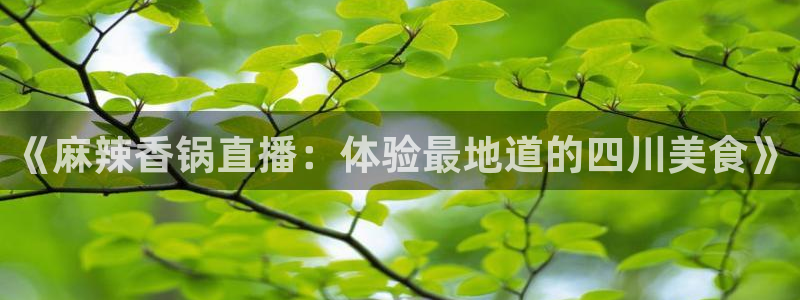鲸鱼体育tv.点我直达.org：《麻辣香锅直播：体验最地道的四川美食》