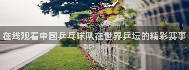 cc35tv鲸鱼体育：在线观看中国乒乓球队在世界乒坛的精彩赛事