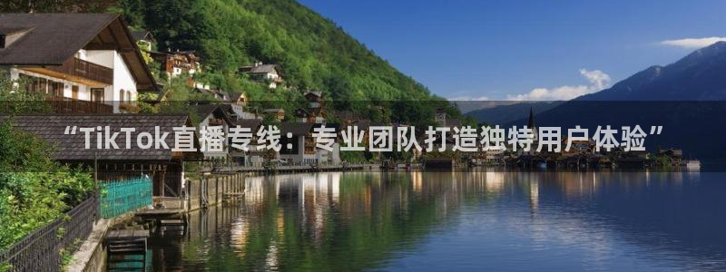 鲸鱼nba直播：“TikTok直播专线：专业团队打造独特用户体验”