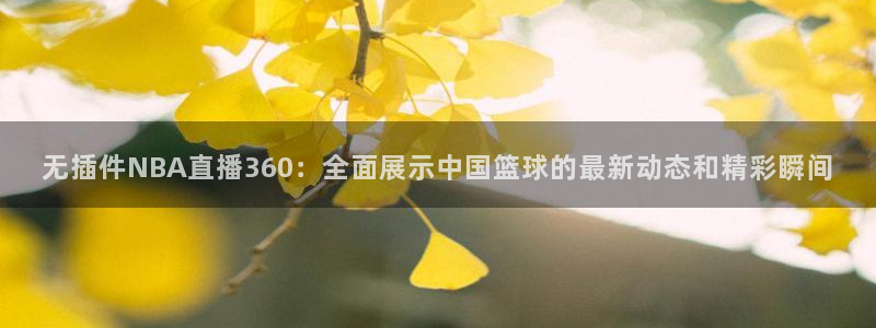 鲸鱼体育tv：无插件NBA直播360：全面展示中国篮球的最新动态和精彩瞬间