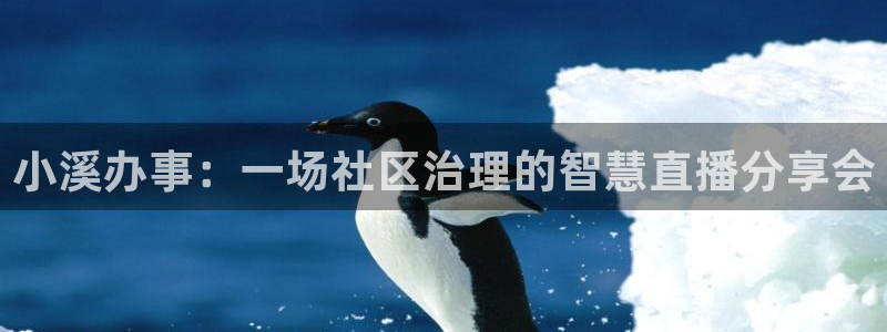 鲸鱼体育网址是什么：小溪办事：一场社区治理的智慧直播分享会